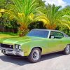 Green Buick Skylark Vintage Car-paint-by-number