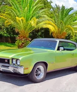 Green Buick Skylark Vintage Car-paint-by-number