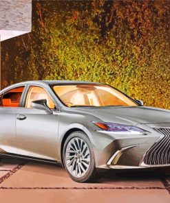 Grey Lexus Car paint by numbers