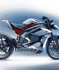 Grey Motorcycle paint by numbers