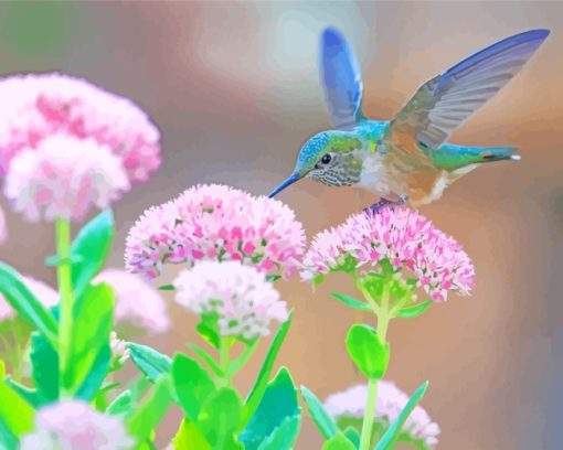 Hummingbird Catching Flower paint by numbers