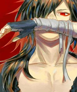 Hyakkimaru Art From Anime Dororo paint by numbers