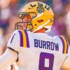 Joe Burrow Lsu paint by numbers