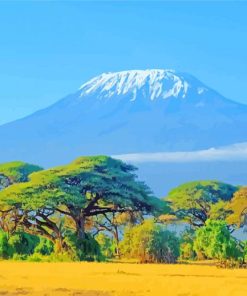 Kilimanjaro paint by numbers