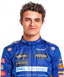 Lando Norris paint by numbers