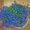 Lobelia Vase paint by numbers