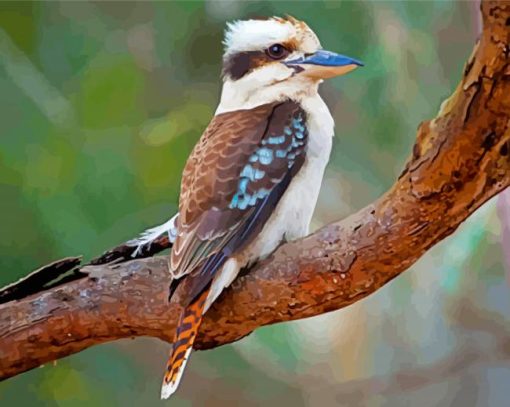 Lonely Kookaburra paint by numbers