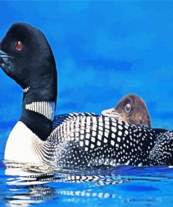 Loons Bird Animal paint by numbers