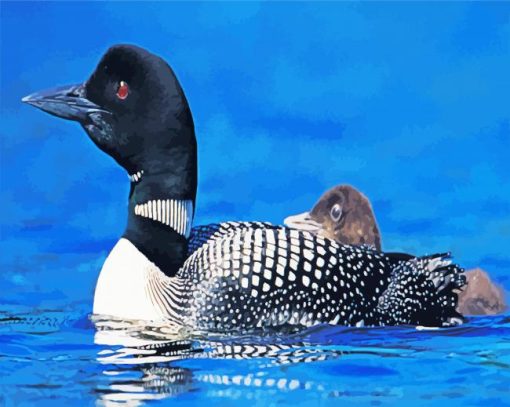 Loons Bird Animal paint by numbers