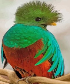 Orange And Green Quetzal Bird paint by numbers