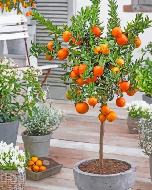 Orange Tree paint by numbers