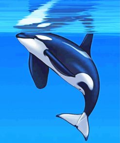 Orca Fish paint by numbers