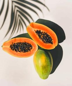 Papaya Fruit paint by numbers