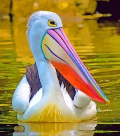 Pelican paint by numbers