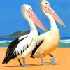 Two Pelicans paint by numbers