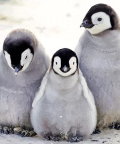 Penguin Family Black And White Portrait paint by numbers