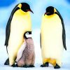 Penguin Family Portrait paint by numbers