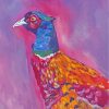 Pheasant Bird Art paint by numbers