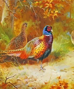 Pheasant Birds paint by numbers