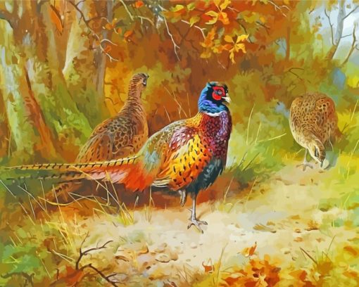 Pheasant Birds paint by numbers