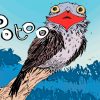 Potoo Nyctibius Bird paint by numbers