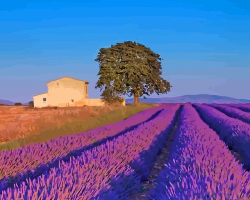 Provence Lavender France paint by numbers