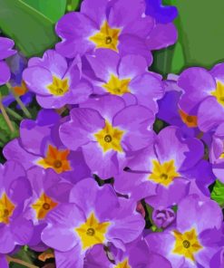 Purple Primroses paint by numbers