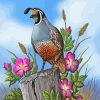 Quail And Flowers paint by numbers