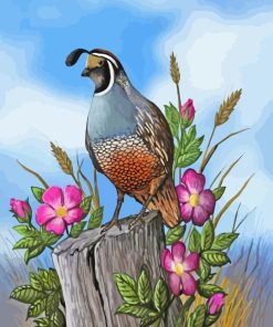 Quail And Flowers paint by numbers