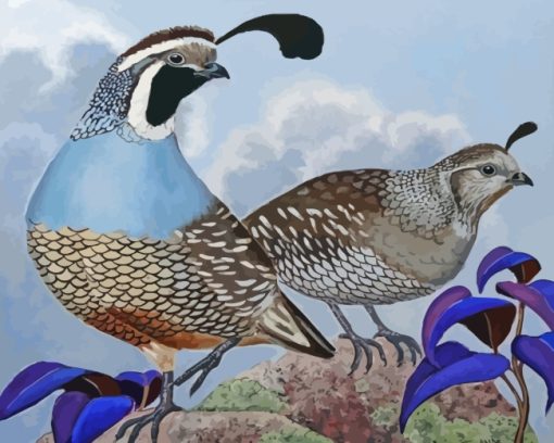 Quail Birds paint by numbers