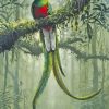 Quetzal Bird Art paint by numbers