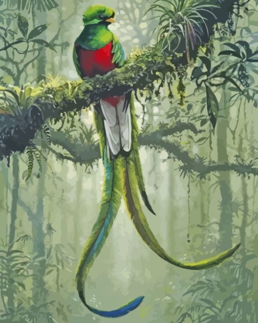 Quetzal Bird Art paint by numbers