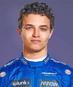 Racing Driver Lando Norris paint by numbers