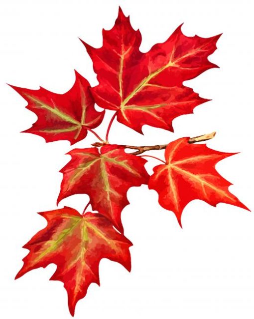 Red Maples paint by numbers