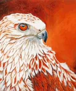 Red-tailed Hawk Bird paint by numbers