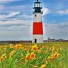 Sankaty Head Lighthouse paint by numbers