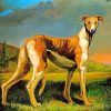 Dog Scent Hound In Nature-paint-by-number