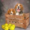 Scent Hound Dogs paint by numbers