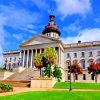 South Carolina State House In Columbia paint-by-numbers