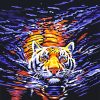 Tiger In Water paint by numbers