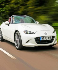 White Mazda Miata Mx5 paint by numbers