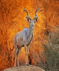 Wild Kudu paint by numbers