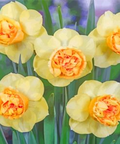 Yellow Daffodil Flowers paint by numbers