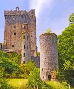 Blarney Castle And Gardens Ireland paint by numbers