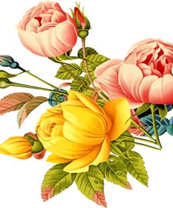 Botanical Flowers paint by numbers