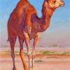 Camel In Desert paint by numbers