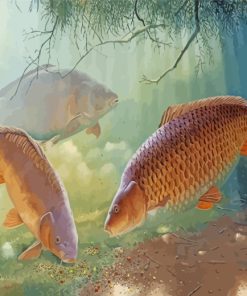 Carp Fishes Underwater paint by numbers