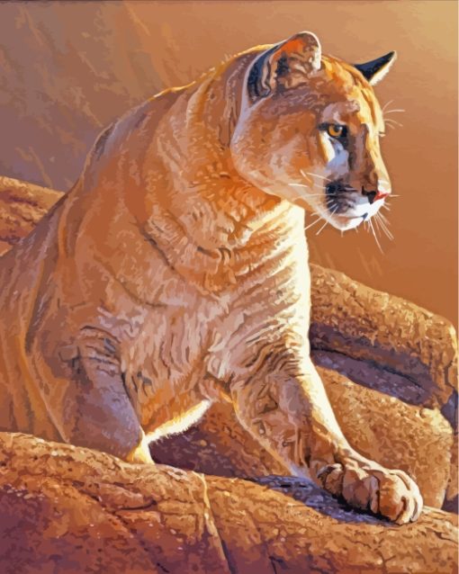 Cougar Cat paint by numbers