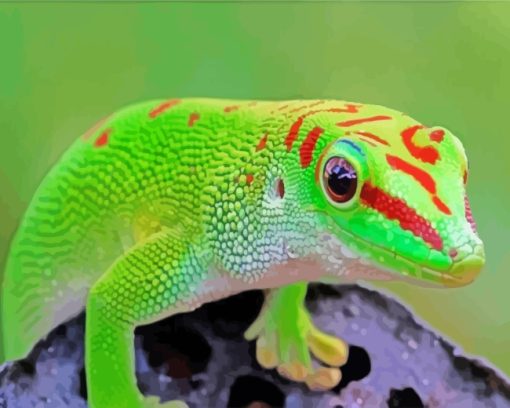 Gecko Reptile paint by numbers