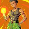 Gon Freecss Artpaint by numbers